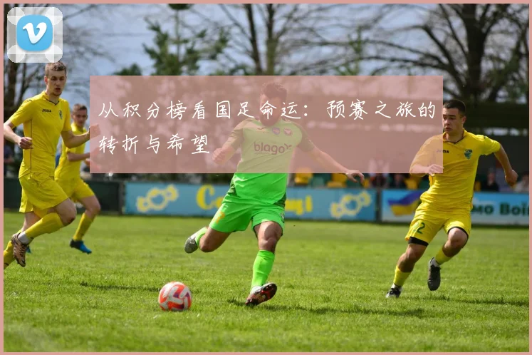 从积分榜看国足命运：预赛之旅的转折与希望