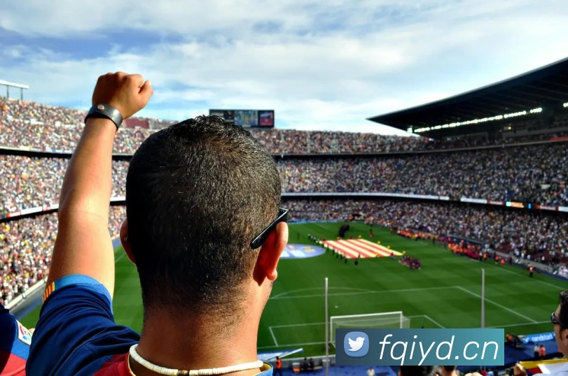 九游体育官网app登录APP 高清赛事图